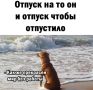 ���: ������ ������ � ������ ����� ������ ������