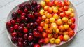Черешня и вишня: чем они отличаются и как их не перепутать