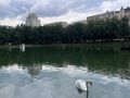 Доброе утро!. 4 июля столбики термометров поднимутся до +28...+33 °C. Синоптики прогнозируют переменную облачность, местами кратковременный дождь