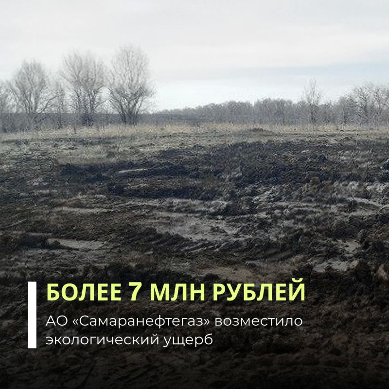 После судебного разбирательства АО «Самаранефтегаз» полностью компенсировало вред, причиненный почвам в Самарской области