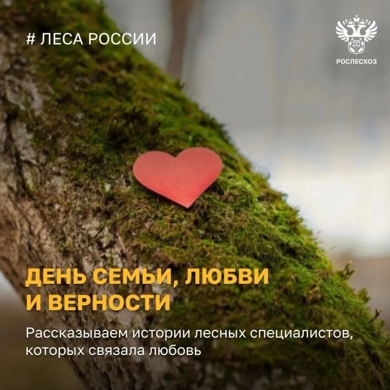 В День семьи, любви и верности хочется рассказывать особенные истории