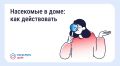 ������ � ���������� � ��������������� ����