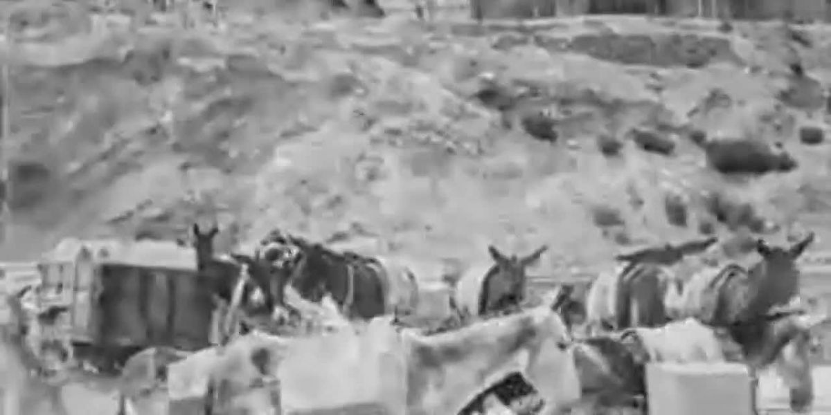 В День воинской славы мы вспоминаем не только поле под Полтавой, но и Самару, ковавшую победу