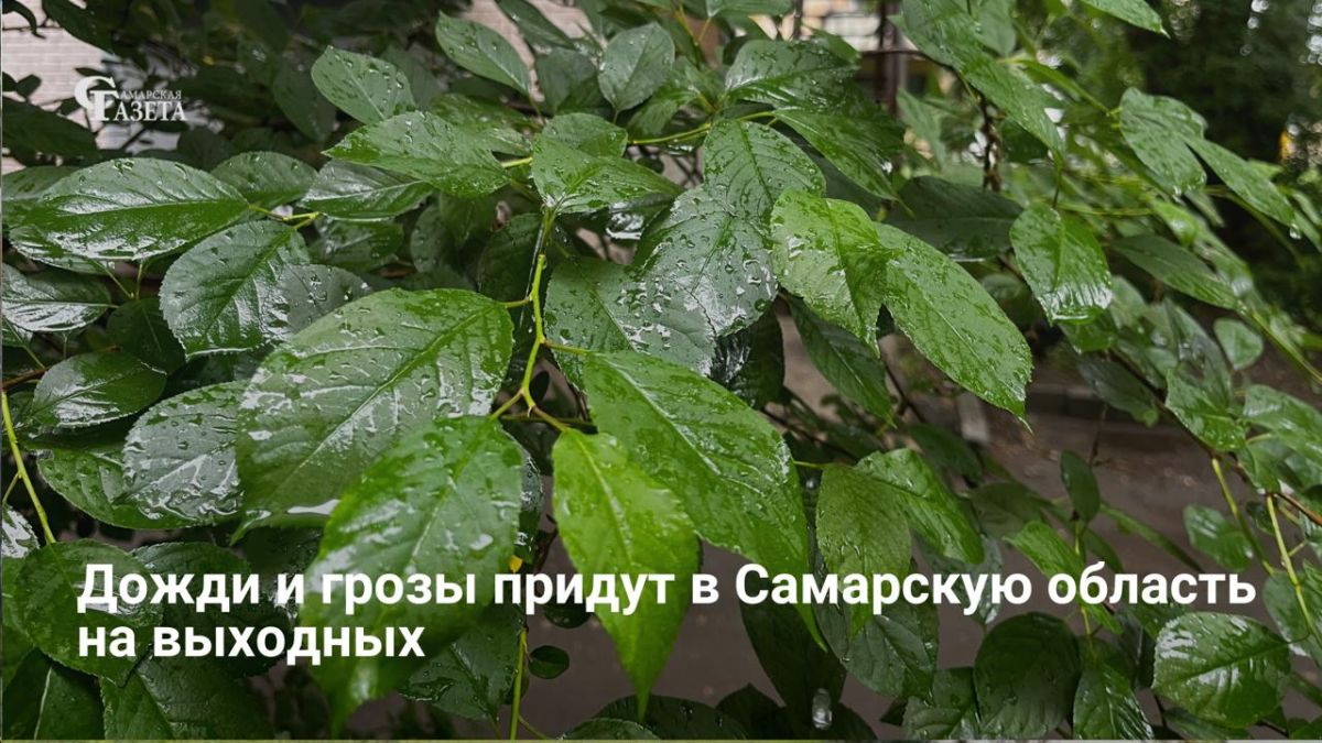 В выходные в Самарской области ожидаются дожди и грозы, но жара сохранится, сообщает Приволжское УГМС