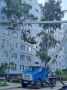 Деревья в городе: сохранить нельзя убрать — где ставим запятую?