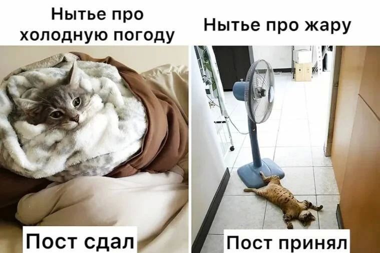 Жители Петербурга, Волгоградской и Самарской областей, теперь вы знаете что делать