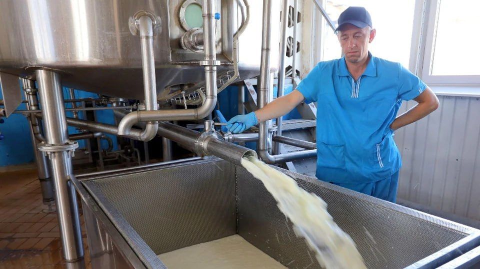 Самарский переработчик молока увеличит скорость поставки