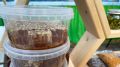 В аэропорту «Курумоч» пресекли ввоз небезопасной продукции