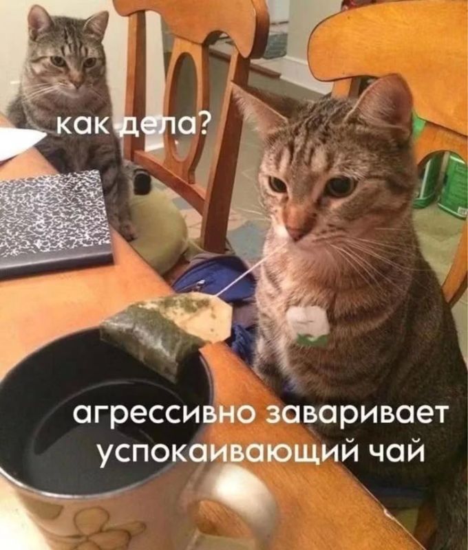 Чайную церемонию по традициям разных эпох проведут в Самаре