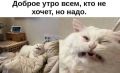 Всем доброе утро!. И снова в прогнозе капельки - переменная облачность, небольшой, местами умеренный дождь, возможна гроза