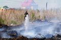 За прошедшие сутки пожарно-спасательные подразделения выезжали на ликвидацию 19 пожаров