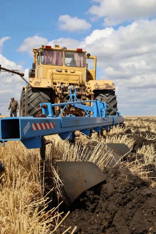На полях Хворостянского района каждый час на счету: хозяйства ведут уборку озимых с максимальной отдачей На полях Хворостянского района каждый час на счету: хозяйства ведут уборку озимых с максимальной отдачей