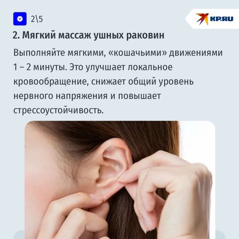 Мозг устал жить в экранах: как помочь нервной системе при цифровой перегрузке Мозг устал жить в экранах: как помочь нервной системе при цифровой перегрузке