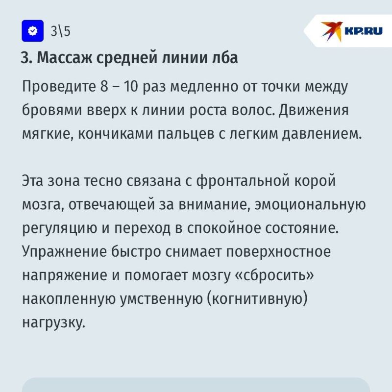 Мозг устал жить в экранах: как помочь нервной системе при цифровой перегрузке Мозг устал жить в экранах: как помочь нервной системе при цифровой перегрузке