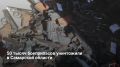 В Самарской области сотрудники Росгвардии уничтожили более 2200 единиц оружия и 50 000 боеприпасов — невостребованное со склада и добровольно сданное жителями, рассказали в ведомстве