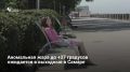 В Самаре в ближайшие выходные ожидается жара до +37 градусов — в субботу до +34, а 26 июля до +37 без осадков, сообщает Яндекс.Погода. По данным Приволжского УГМС, это отклонение от нормы на 4 градуса