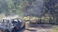 В Шигонском районе лесники и МЧС тушили загоревшийся автомобиль 29 июля