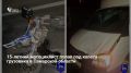 ������� ������� 28 ���� �� �������� ����� � �������� 15-������ ��������� �� ��������� ��������� � ��� � ���������� ���