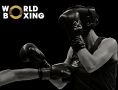 Организация World Boxing допустила российских спортсменов к участию в международных соревнованиях под национальным флагом и с гимном
