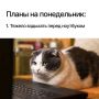 Доброе пасмурное утро!. После жары и неожиданного урагана нас ждет довольно спокойный и прохладный день