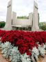 Наш город всегда славился своими зелёными улицами, но в последнее время он словно преобразился!