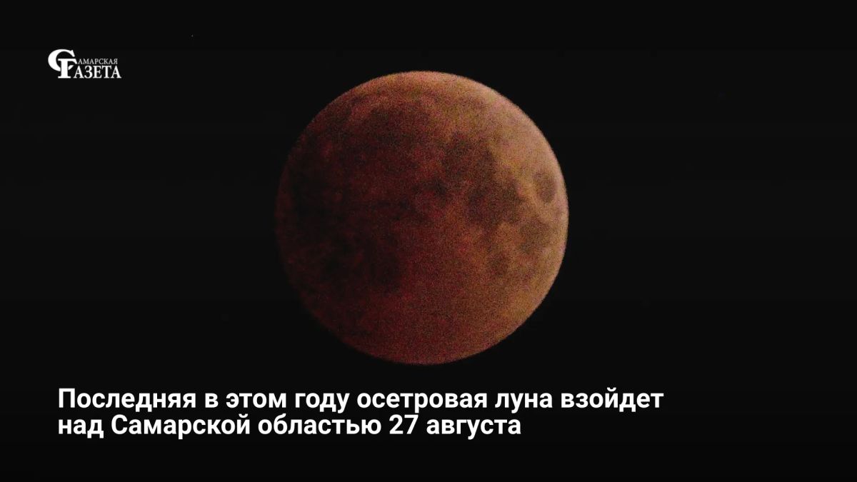 В ночь с 27 на 28 августа жители Самарской области смогут увидеть последнее суперлуние года — Осетровую Луну, когда спутник максимально приближается к Земле