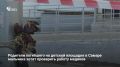 Родители 8-летнего Мирона, насмерть разбившегося при падении с высоты около 2 м во дворе дома на улице Лукачева, намерены проверить работу медиков, которые оказывали мальчику первую помощь