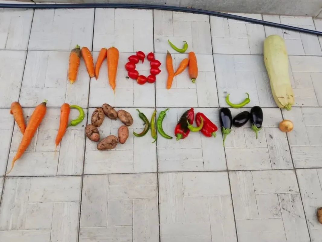 «День урожая» в посёлке Сормовский «День урожая» в посёлке Сормовский