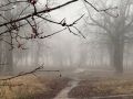 В Самарской области ожидаются заморозки до -3 °C