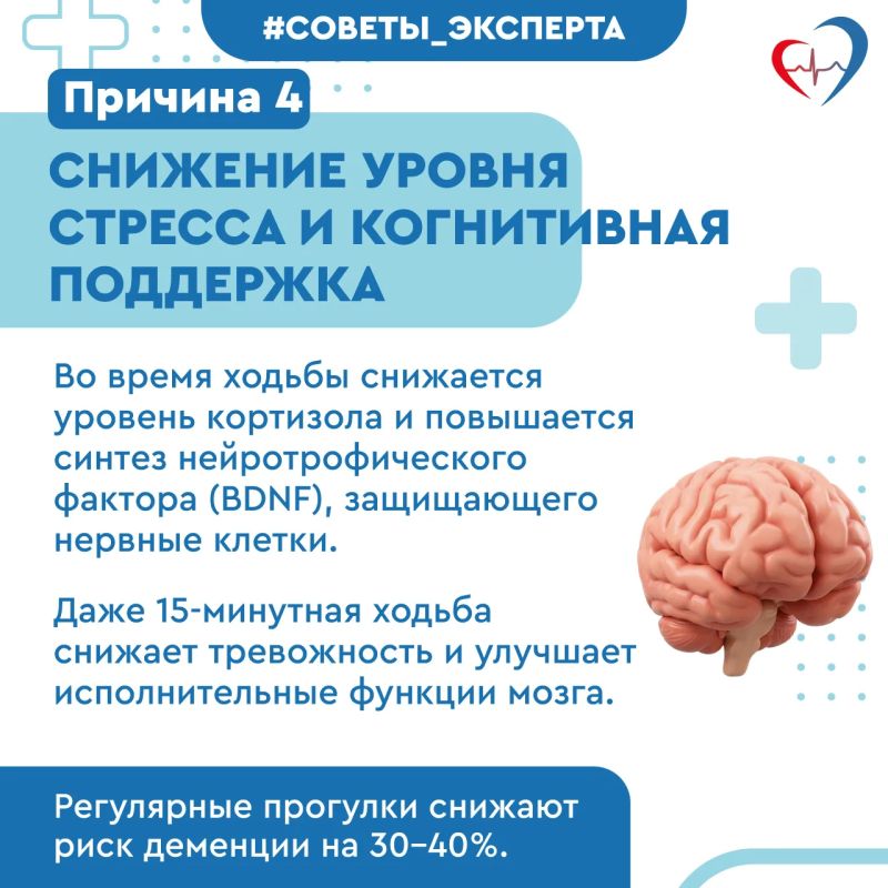 Ходьба как лекарство: 5 причин больше двигаться Ходьба как лекарство: 5 причин больше двигаться