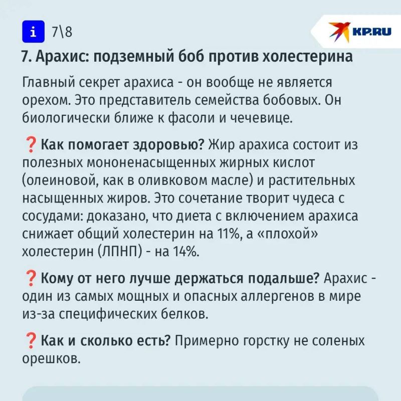 Семь орешков для здоровья: какой защитит сосуды, а какой спасет от переедания Семь орешков для здоровья: какой защитит сосуды, а какой спасет от переедания
