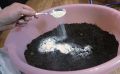 Польза молотой яичной скорлупы для рассады: секреты успеха
