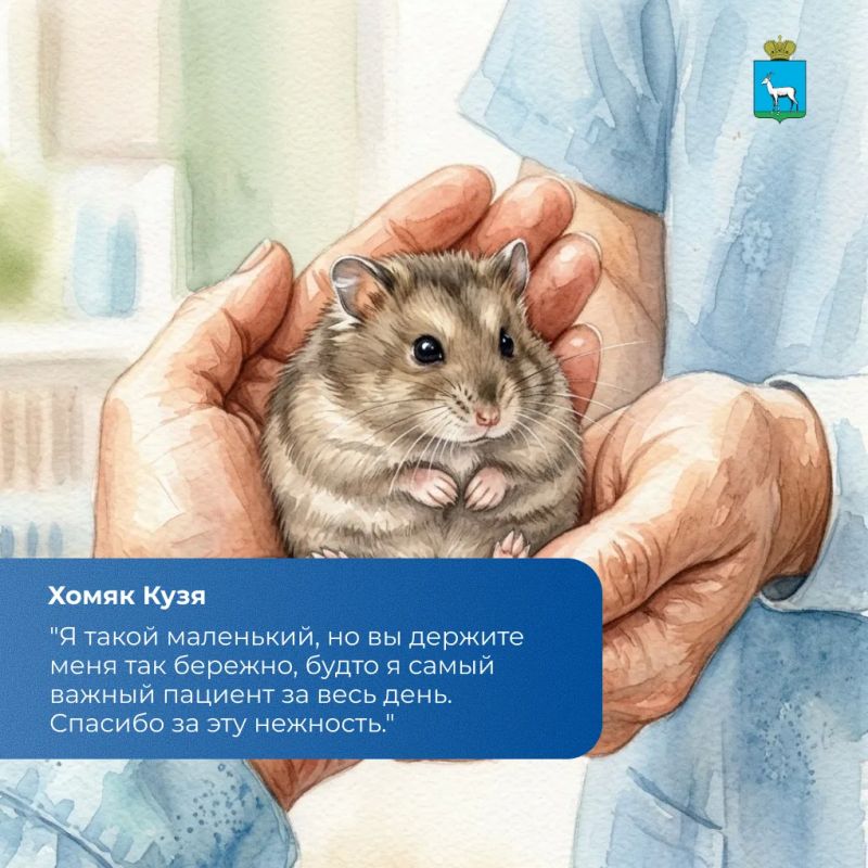Если бы наши хвостики умели говорить, то они бы вам сказали именно эти слова Если бы наши хвостики умели говорить, то они бы вам сказали именно эти слова