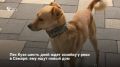� ������ ���� ��� ��� �������� � ������������ ��� �� ������ ����, ������� ��� ����� ������ ���� � ����� ��������� � �������� �������