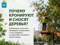 О кронировании и сносе деревьев в Самаре