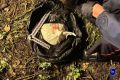 � �������� 29������� �������� ����������� ������� ������ ���������� ���� ��������