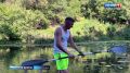��������� ���������� ������ ������