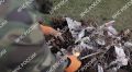 �� 15 ������� �� ���������� ������� ��������� ������ ��������������� �����