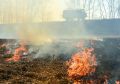 В Оренбуржье к тушению ландшафтных пожаров привлекли авиацию и силы соседних регионов