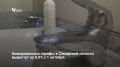 С 1 октября 2026 года в Самарской области вырастут тарифы на коммунальные услуги
