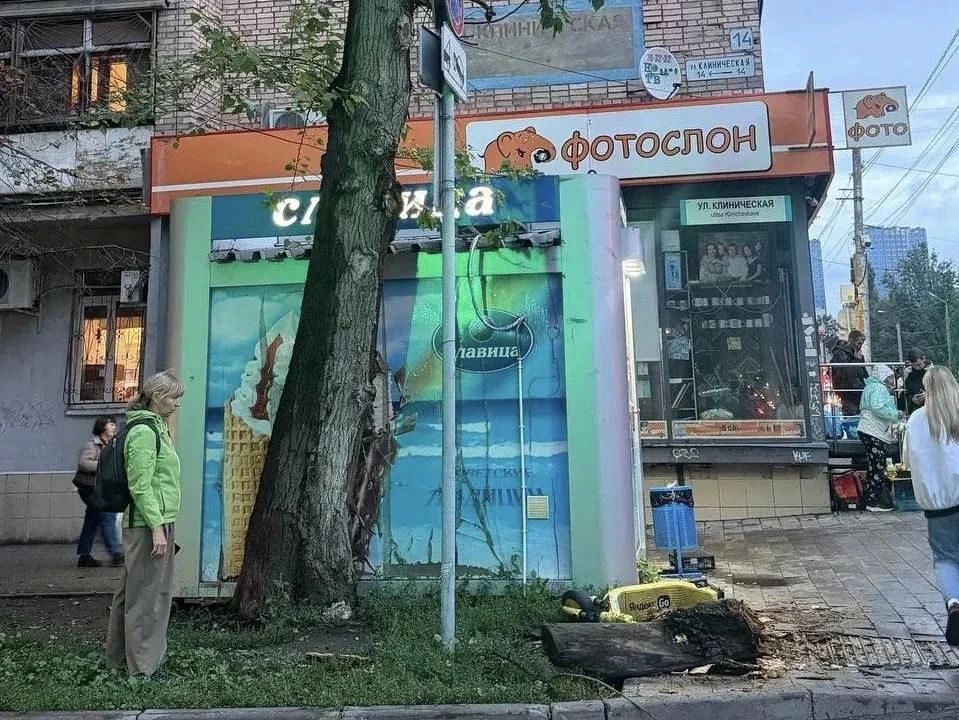 В Самаре возбудили уголовное дело после падения дерева на 13-летнюю девочку В Самаре возбудили уголовное дело после падения дерева на 13-летнюю девочку
