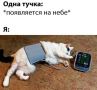 ����������������: ��� ������ ������ �� ������������ � ��� ������