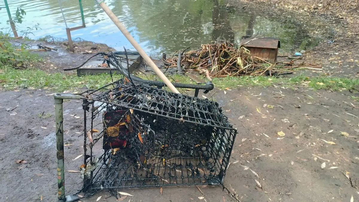 В Самаре в сквере «Солнечная Поляна» проходит субботник В Самаре в сквере «Солнечная Поляна» проходит субботник