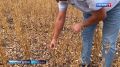 ����������� �������� ����� ������