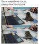 ������ ����, ������!. ������� ��������� ���������� ����������, ��������������� ��� �������, ����� ������� �����
