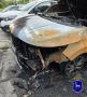 ����������� ����� ��������� KIA ����� ����������