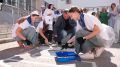 Проект для школьников «ШАГИ» будет продолжен в Самаре в следующем году