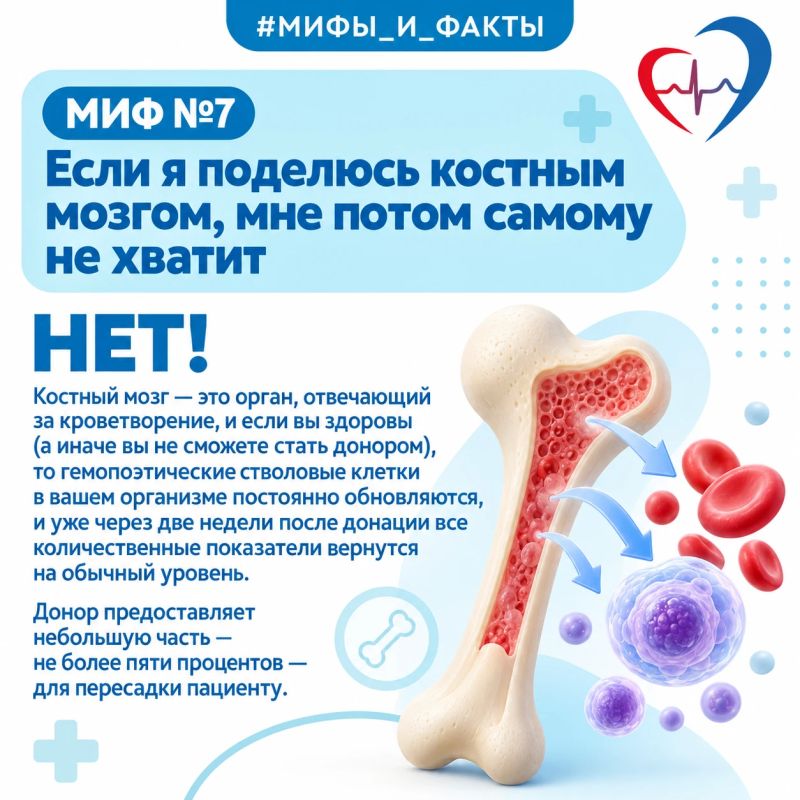 ТОП-10 мифов о донорстве костного мозга ТОП-10 мифов о донорстве костного мозга