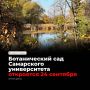 24 сентября Ботанический сад Самарского университета откроется для посетителей с бесплатным входом — главное событие: открытие оранжереи с тропическими растениями