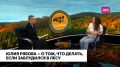 Осень — любимое время грибников и самый напряженный сезон для поисковиков отряда «ЛизаАлерт»